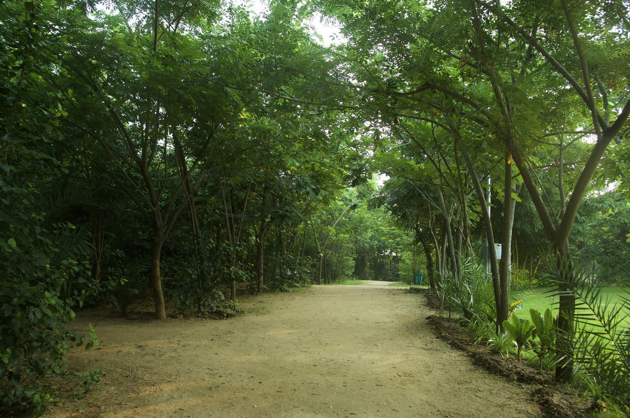 The Riverwood Forest Retreat Pench Khawāsa Extérieur photo