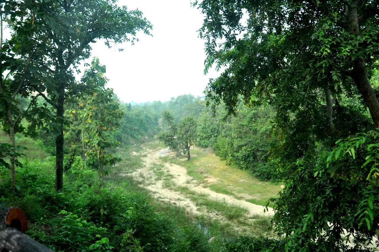 The Riverwood Forest Retreat Pench Khawāsa Extérieur photo