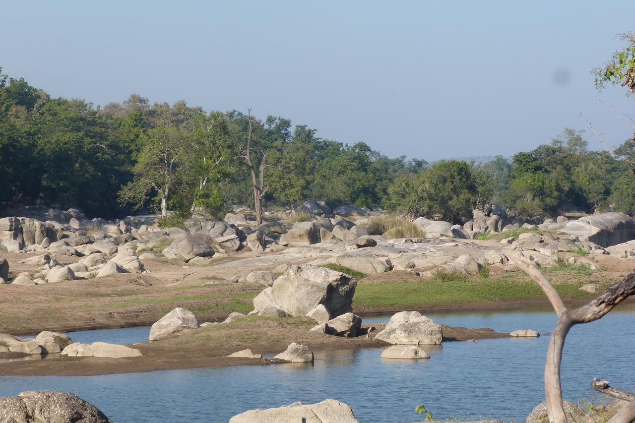 The Riverwood Forest Retreat Pench Khawāsa Extérieur photo